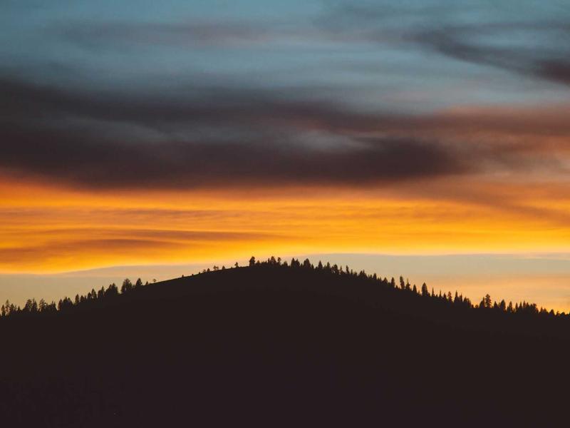 宠物侦探<br>qyh4jna.cn 寻找走失猫咪